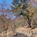 한국화(초급) | 충남 홍성 용봉산 등산후기