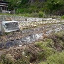 대소원면사무소 이미지