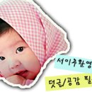 토피어리 만들기 체험(종현마을) 네이버블로그