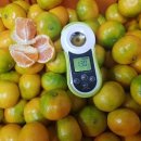 달콤하우스 이미지