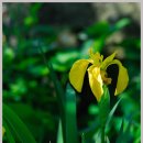 하늘아래첫펜션 이미지