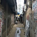 오리와 쭈꾸미 이미지