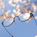 GLASTAR 안경 이미지