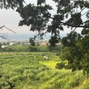 애월w스테이 이미지