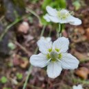 대 덕 사 이미지