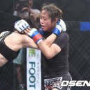 사진몰