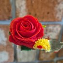 대구떡방앗간 | 대구달서구떡케이크 용산동 주문제작 아이올라케이크 커스텀 플라워케이크 맛집