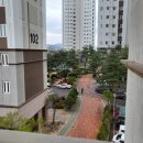 코아루(좌) 이미지