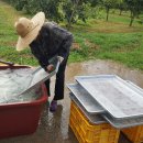 천상 농장 이미지