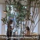 가율메디스파 | [관리 후기] 대구칠곡피부관리, 가율메디스파(학정동피부관리/하체슬리밍관리)