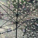 개랑 나들이 이미지