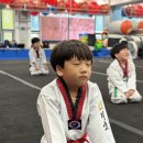 비호태권도 이미지