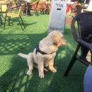 메르블루 이미지