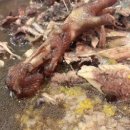 산아래호수 이미지