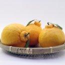 상현경희한의원 이미지