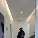 코앤핑이비인후과의원 네이버블로그