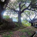 가야면 매안리 이미지