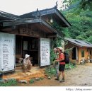 지리산터널펜션 이미지