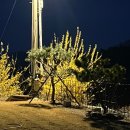 강화읍-8 | 강화읍 고향옥 순대 국밥 내돈내산 후기