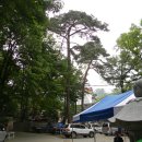 신덕11호 | 아름다운 숲길을 지닌 고즈넉한 산사, 정릉동 북한산 경국사 (경국사의 석가탄신일 풍경, 경국사 공양밥)