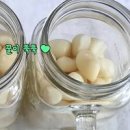 꿀마늘 만들기 효능 마늘꿀절임 마늘구이 마늘요리 이미지