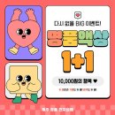 이도전자
