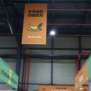 관-비-3-6 | 2026 서울 카페앤베이커리페어 시즌1 SETEC 세텍 첫날 관람 후기와 방문 꿀팁 (특별관, 추천 부스)