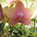 즐거운 통기타 이미지