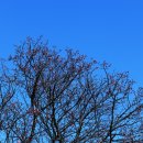 유엔기념공원주차장 이미지