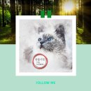 복슬 강아지 이미지