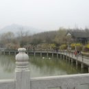 왕징농장 이미지