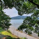 소나무 흑염소 목장 이미지