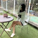 도그스테이블 석사점 | 춘천여행 강원투어패스로 방문한 도그스테이블 후기