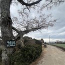 무릉쉼표 | [제주여행숙소] 제주서귀포숙소 "무릉쉼표 게스트하우스"