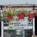 샤론꽃농장
