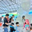 팜핑 레이크 이미지