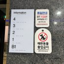 피스하우징(평화주택) | 강원도 삼척 오션뷰 피스하우징펜션 + 평화주택커피 후기 !