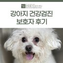 청진기획 | 강아지 건강검진 보호자 후기 [대구동물건강검진센터/본동물건강검진영상센터]