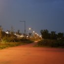 김해대로 이미지