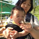 한성목장 이미지