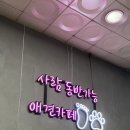 루프앤독 이미지