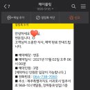 홉히
