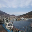 외포등대횟집 이미지