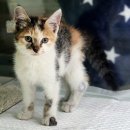 완장천로384번길 이미지