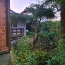 물레방아 민박 이미지