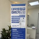 동감동물의료센터 | 위례 동물병원 동감동물의료센터 푸들 노견 건강검진 후기