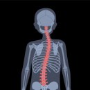 EMS 바디발전소 이미지