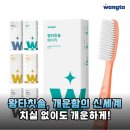 삼정물산 | 인생칫솔 등극 대왕칫솔 왕타 3개월 사용 후기 치실 없이도 개운해요