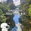 지리산 | 전남 구례 여행 : 지리산 천은사 &amp; 지리산 전망대 풍경 후기