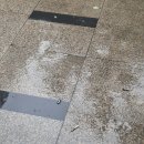 담배꽁초 이미지